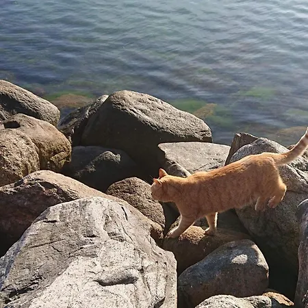 6 Person In Karrebaeksminde-by Traum